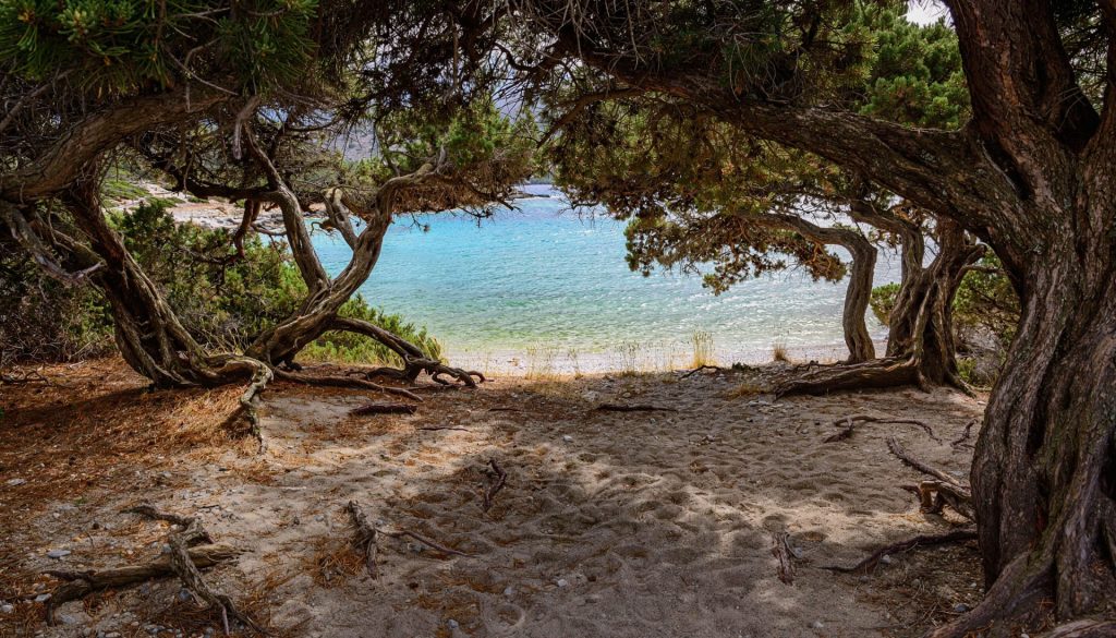 Kedrodasos-Strand mit Schatten durch alte Wacholderbäume